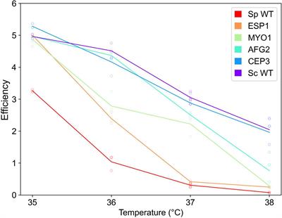 Temperature-Dependent Genetics of Thermotolerance Between Yeast Species